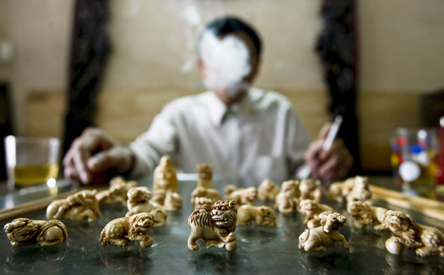 Week in wildlife: Illegal ivory trade in Vietnam threatens elephant population