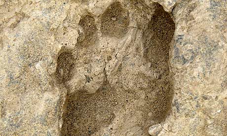 A fossil footprint left by a human ancestor about 1.5 million years ago in Kenya
