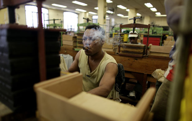 27 February 2009: Havana, Cuba: A worker smokes his cigar at the H Upmann cigar factory
