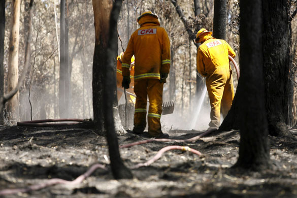 27 February 2009: Daylesford, Australia : Firefighters black out smouldering tree trunks