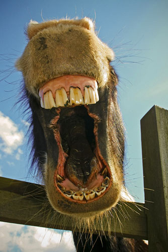 In Pictures: Expression: Andrew Hill