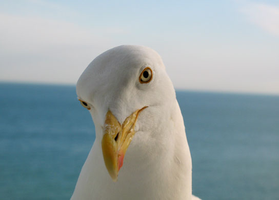 In Pictures: Expression: Melanie Barnes