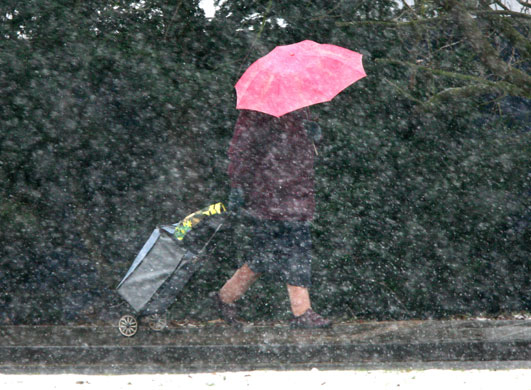 Gallery 3 February 2009: Dissm, UK: An elderly shopper walks in a snow shower