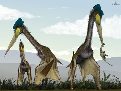 Gallery Dinosaurs: Giant dinosaurs, called Quetzalcoatlus