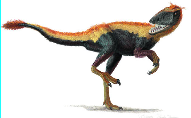 Gallery Dinosaurs: Dilong  paradoxus