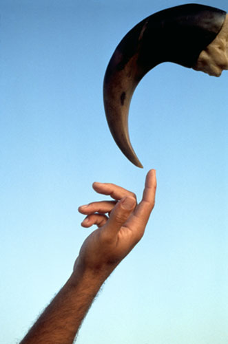 Gallery Dinosaurs: Reconstruction of Baryonyx Claw