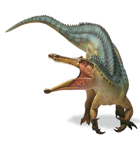 Gallery Dinosaurs: Baryonyx dinosaur with jaws open.