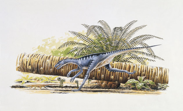 Gallery Dinosaurs: Eoraptor running in the forest