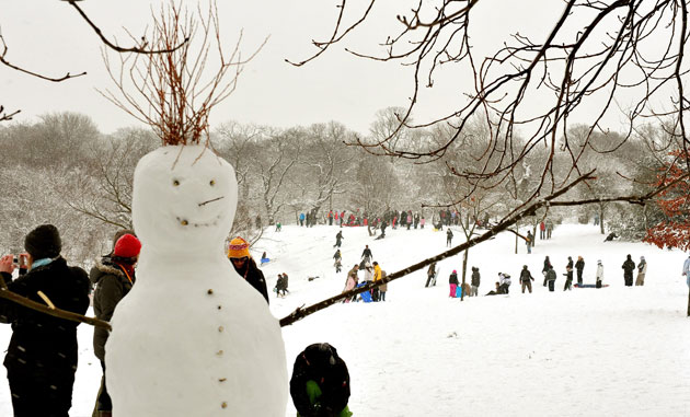 Gallery Snowman gallery: Greenwich Park, London: snowman with branches for hair.