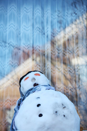 Gallery Fashionable snowmen: Snowman