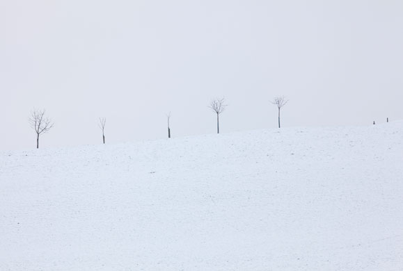 Gallery Zug : Zug, Switzerland