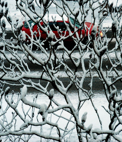 Gallery Weather gallery: Winter weather