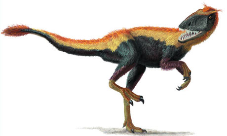 Artist's reconstruction of Dilong paradoxus dinosaur