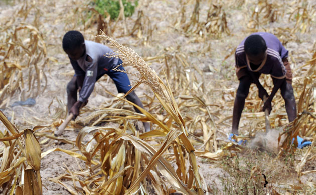Gallery Severe Drought: Drought in Kenya