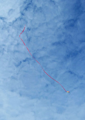 Gallery In pictures: simplicity: Andy Vowles