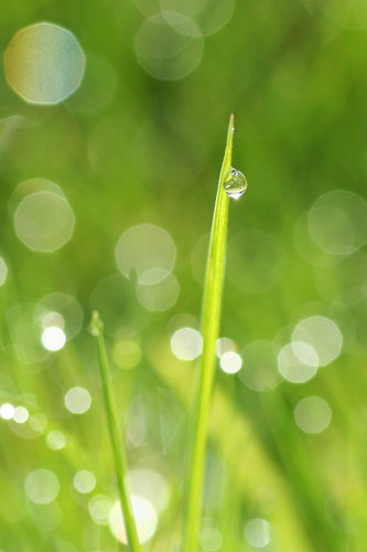 Gallery In pictures: simplicity: Geoffrey Hardy 