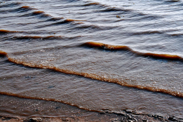 Gallery In pictures: simplicity: Steve Johnston