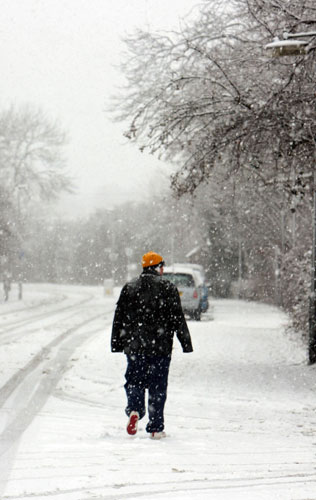 Gallery February Snow 6/2/09: Winter weather
