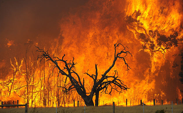 Australia wildfires