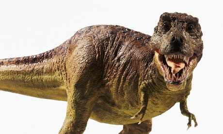 The Tyrannosaurus family of which the most famous species is T rex 