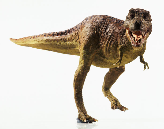 picture of t rex dinosaur