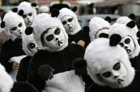 Gallery 8 February 2009: Manila, Philipppines: Children dance in panda costumes