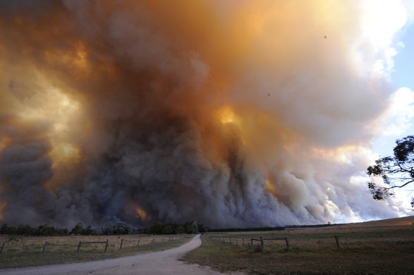 Gallery Australia bushfires: Australia bushfires