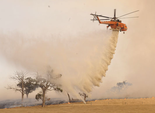 Gallery Australia bushfires: Australia bushfires