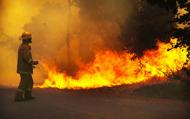 Fire crews fight a bush near to Labertouche, east of Melbourne. Photograph: A Coppel / Newspix / Rex Features
