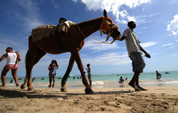 Gallery 9 February 2009: Kingston, Jamaica: A man looks for customers to ride his horse