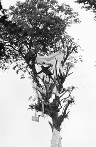 Gallery Solsbury Hill protest: 15th anniversary of Solsbury Hill road protest