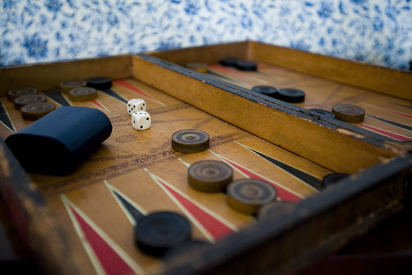 Gallery Darwin exhibition: New Exhibition launched on Darwin's life and work