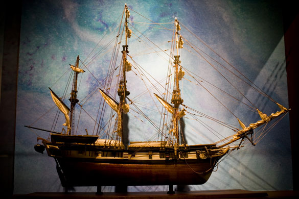 Gallery Darwin exhibition: New Exhibition launched on Darwin's life and work