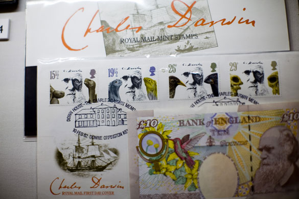 Gallery Darwin exhibition: New Exhibition launched on Darwin's life and work