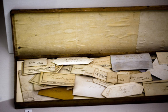 Gallery Darwin exhibition: New Exhibition launched on Darwin's life and work