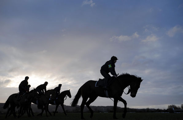 24sport: Horse Racing  Cheltenham Festival 2009 Day One