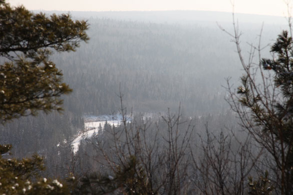 Heilongjiang Forest: Tangwanghe National Park, China