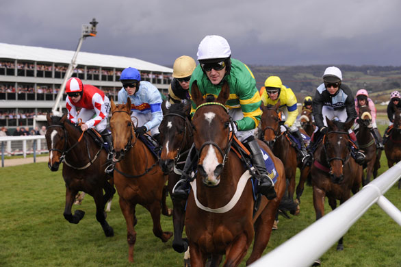 Cheltenham day one: McCoy