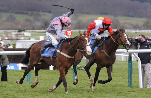 Cheltenham day one: Punjabi