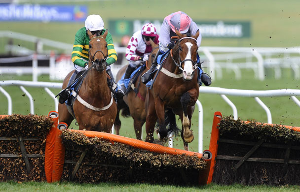 Cheltenham day one: Punjabi