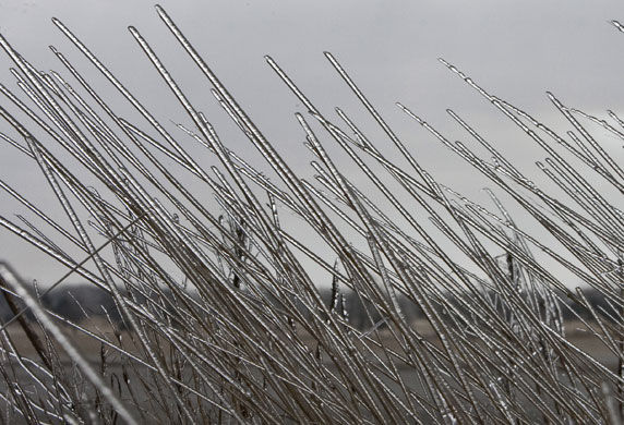 24 hours in pictures: Prairie grass is covered with ice in eastern  Nebraska 