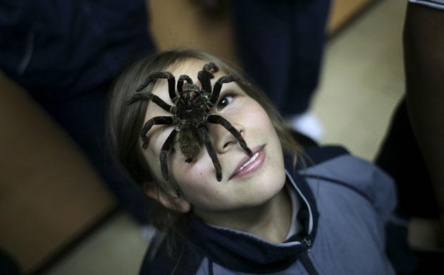 24 hours in pictures: Colombian schoolgirl with a Tarantula on her face