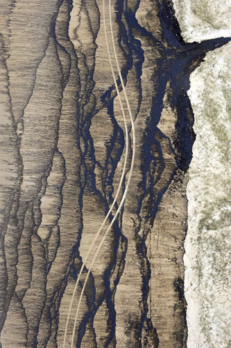 Week in wildlife: Oil spill in southern Queensland