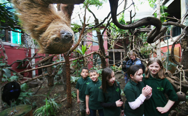 Week in wildlife: Schoolchildren Become Zoo Keepers For The Day, London