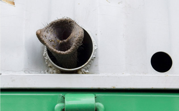 Week in wildlife: Bidding farewell