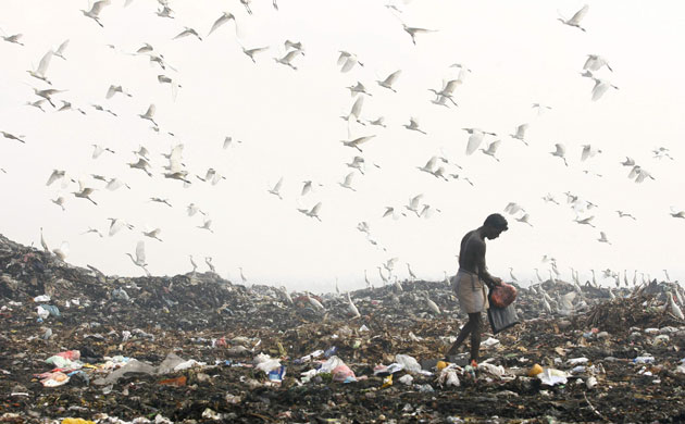 Week in wildlife: Birds and man on the garbage dump at Bloemendhal in Colombo