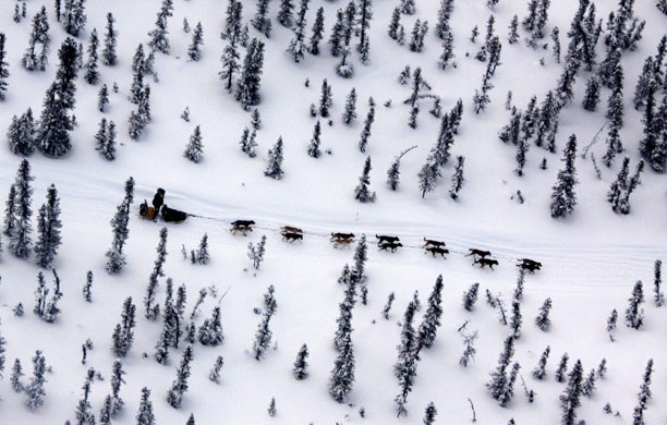 12 March 2009: Takotna, Alaska: The Iditarod Trail Sled Dog Race trail