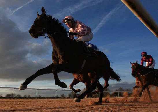 24sport: Supsonic powers down the course in the Free Bets Handicap Stakes