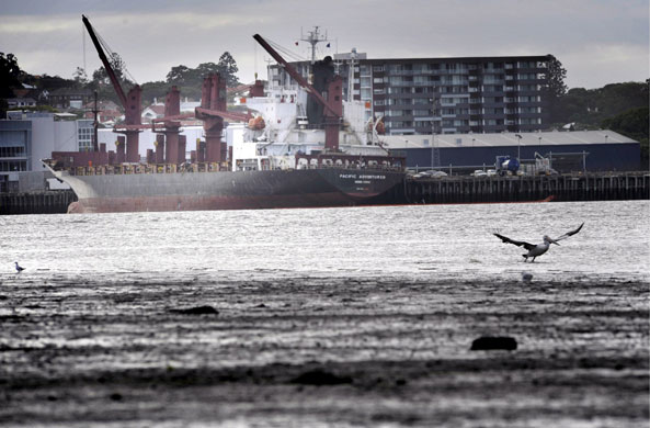 Oil Spill in Queensland: Oil Spill in Queensland, Australia
