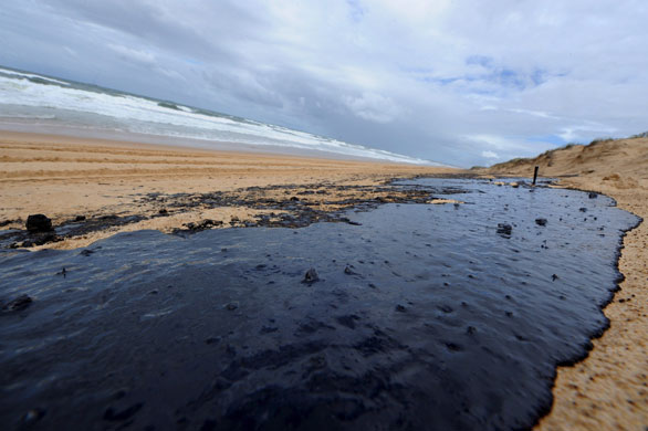 oil spills in australia essay oil spills in australia essay